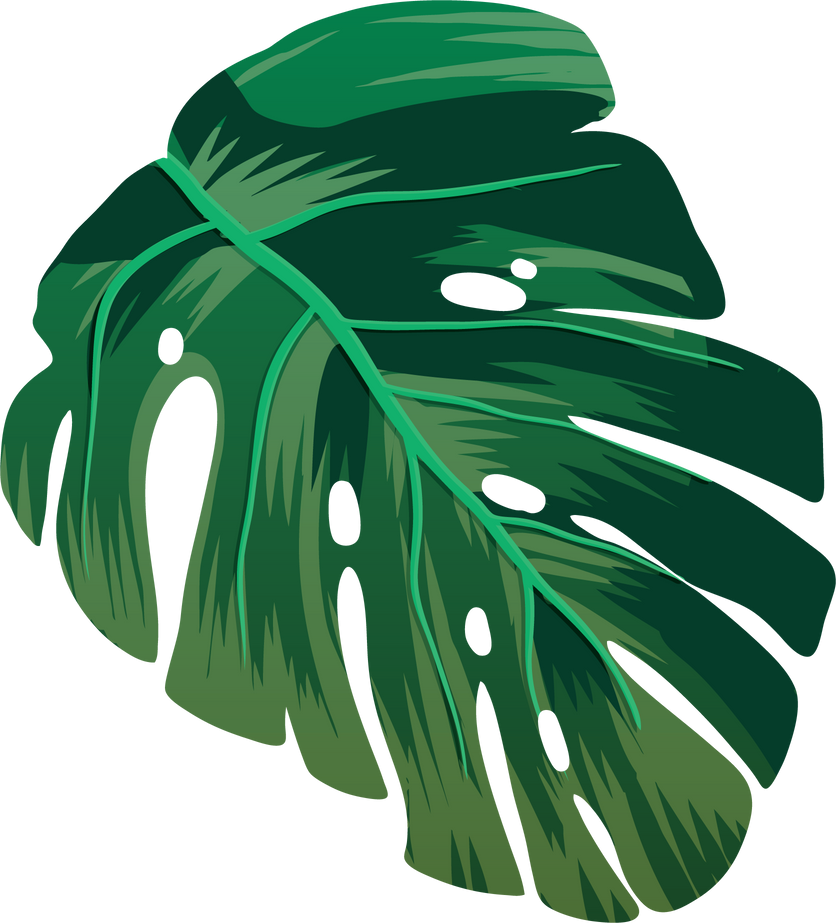 Tropical Leaves